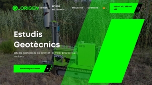 Screenshot of website